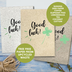 General Good Luck Card - Clover