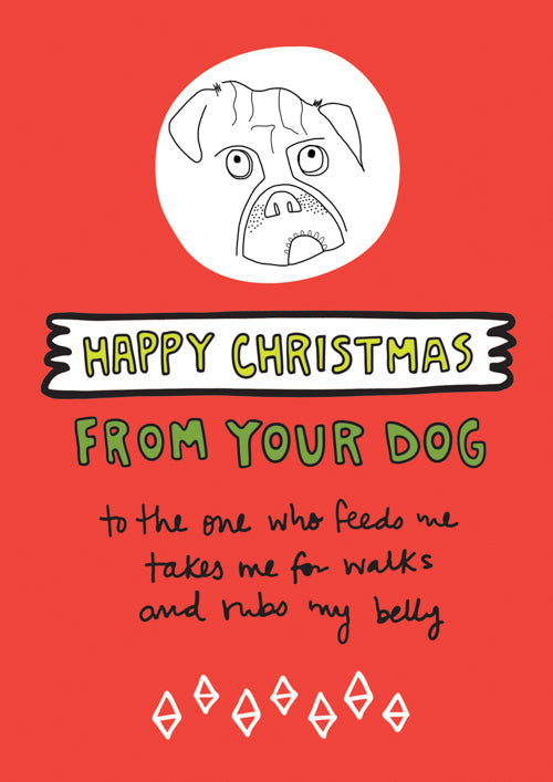 Pet Christmas Card Personalisation