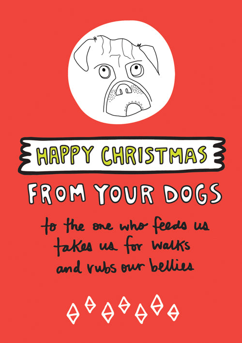Pet Christmas Card Personalisation