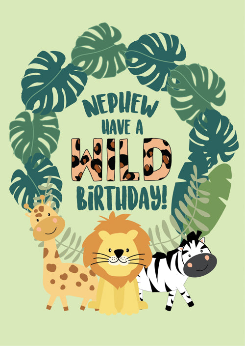 Funny Nephew Birthday Card Personalisation