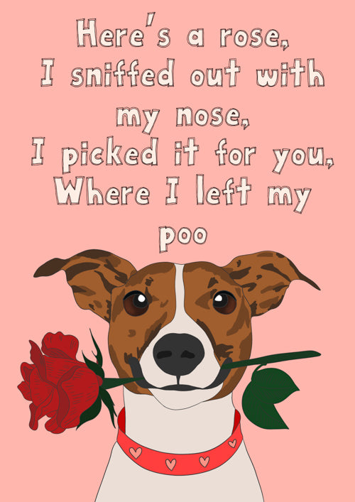 Humour Pet Dog Card Personalisation