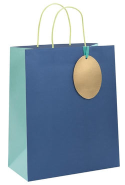 Gift Bag - Large / Aquamarine