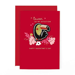 General Valentines Day Card