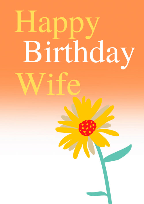 Wife Birthday Card Personalisation 