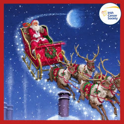 Charity Christmas Card