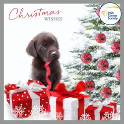 Charity Christmas Card