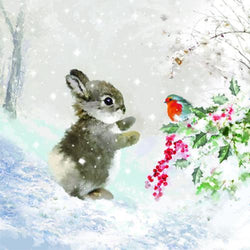 Charity Christmas Card 