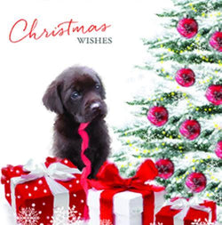 Charity Christmas Card