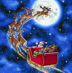 Charity Christmas Card