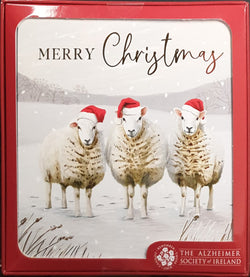 Charity Christmas Card (In Irish & English) - Box of 16 / Alzheimer Society of Ireland - Three Sheep Wearing Hats