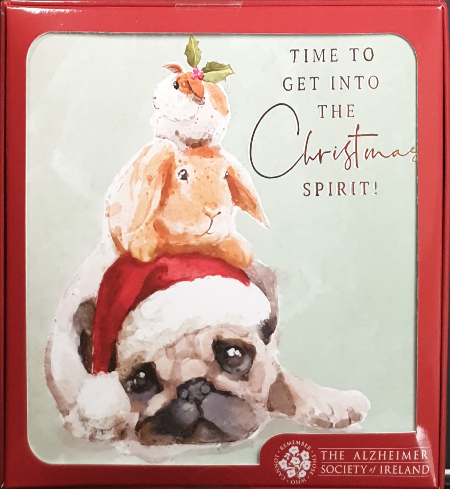 Charity Christmas Card (In Irish & English) - Box of 16 / Alzheimer Society of Ireland - Cute Pug, Rabbit & Guinea Pig
