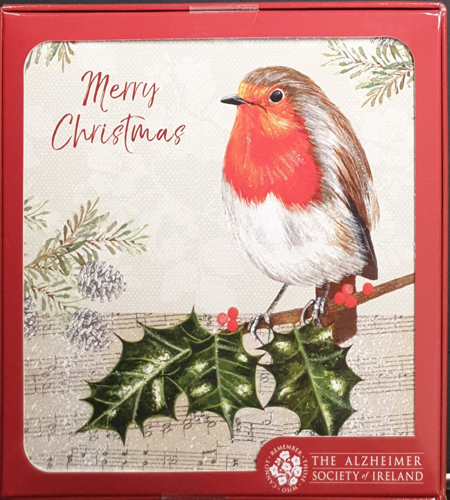 Charity Christmas Card (In Irish & English) - Box of 16 / Alzheimer Society of Ireland - Robin Perched on Holly Branch