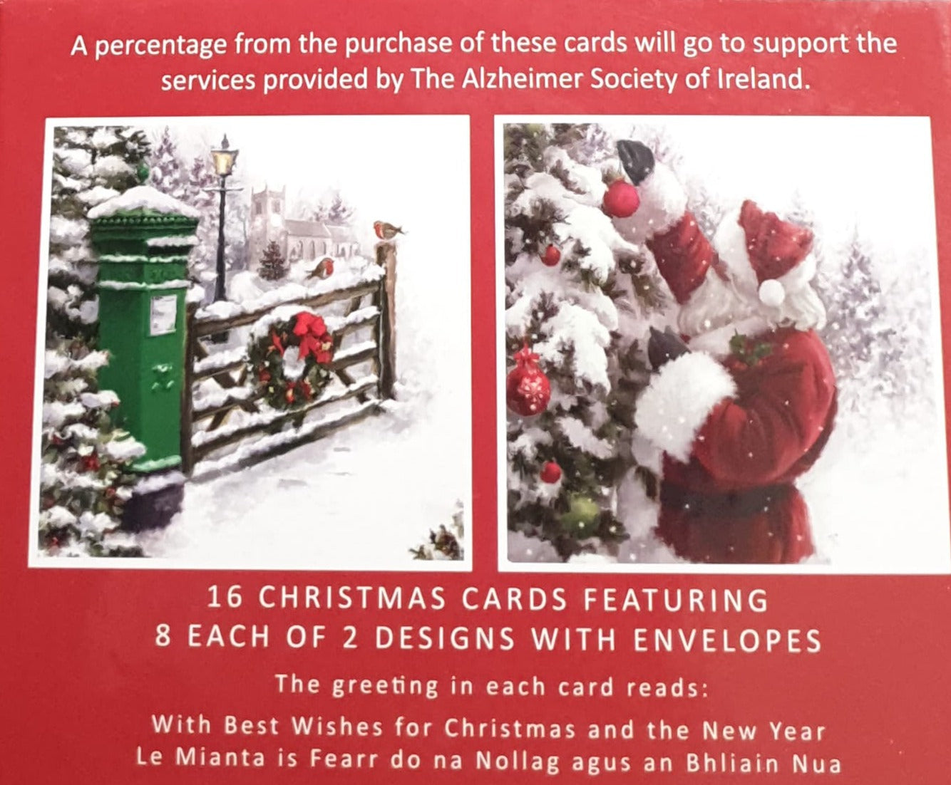 Charity Christmas Card (In Irish & English) - Box of 16 / Alzheimer Society of Ireland - Post Box & Snowy Gate