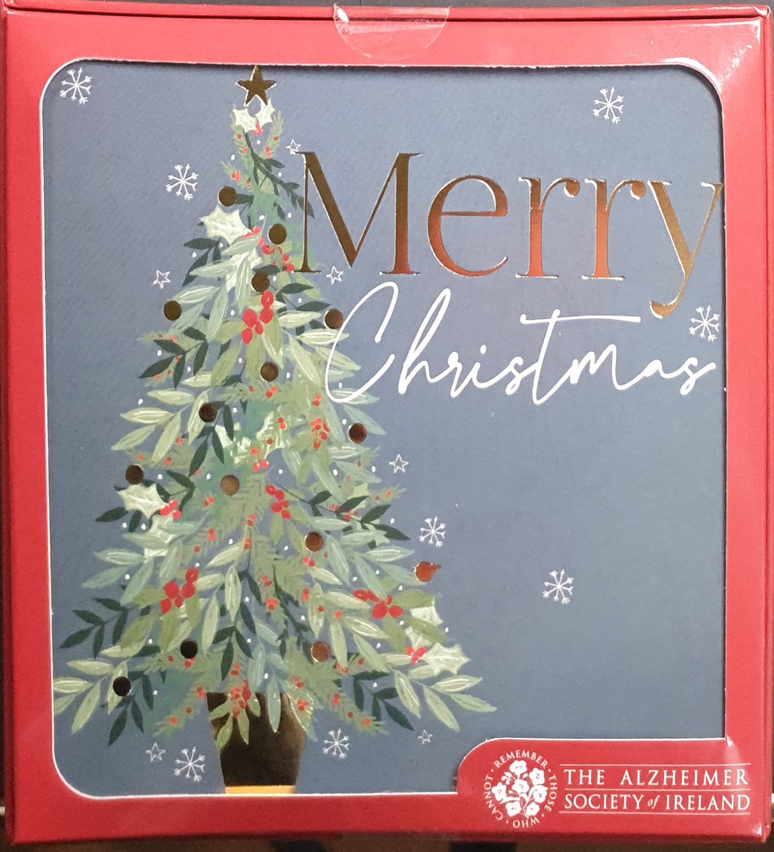 Charity Christmas Card (In Irish & English) - Box of 16 / Alzheimer Society of Ireland - Christmas Tree & Blue Background