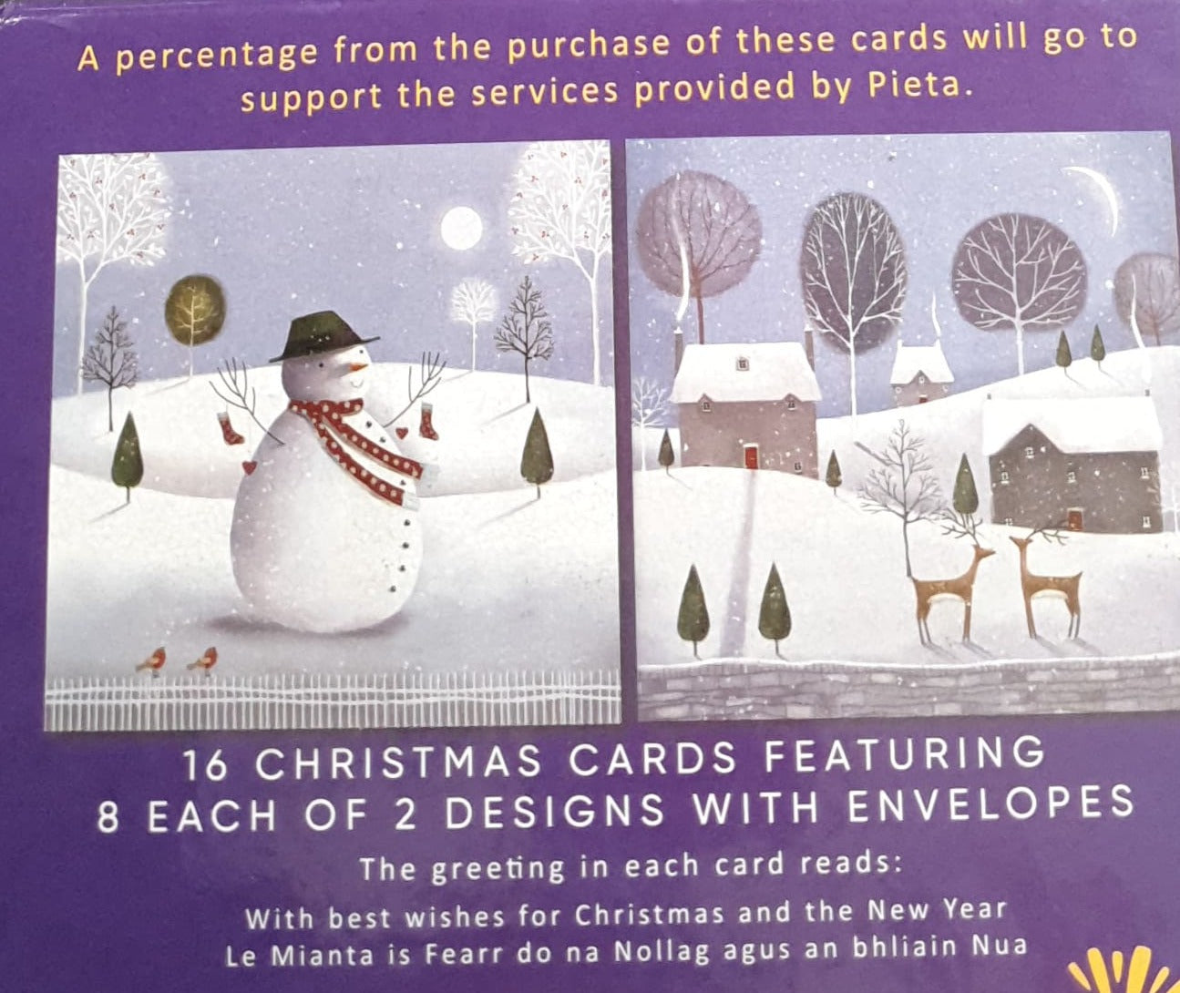 Charity Christmas Card (In Irish & English) - Box of 16 / Pieta - Happy Snowman & Snow