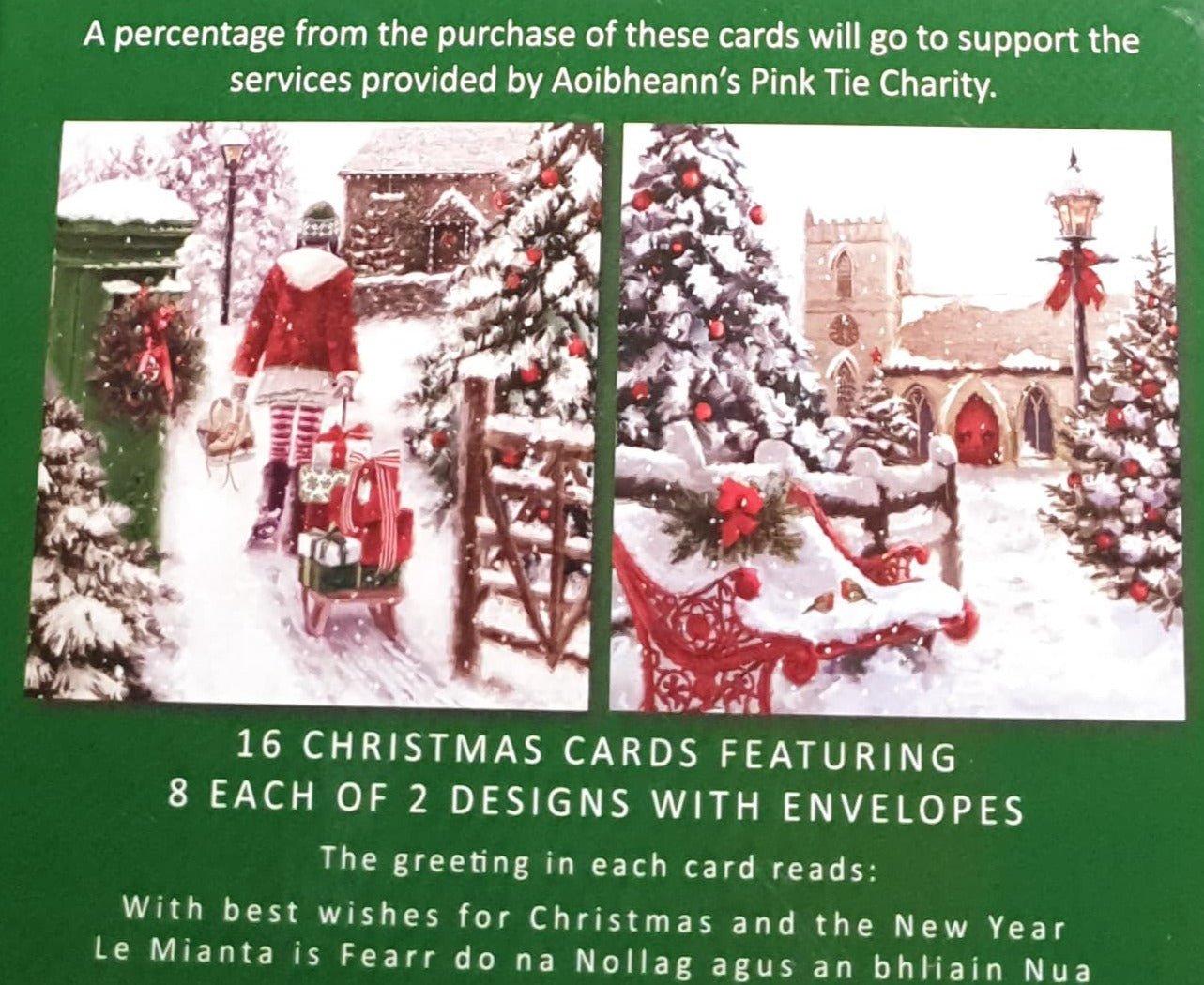 Charity Christmas Card (In Irish & English) - Box of 16 / Aoibheann's Pink Tie - Girl with Sled & Gifts