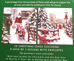 Charity Christmas Card (In Irish & English) - Box of 16 / Aoibheann's Pink Tie - Girl with Sled & Gifts