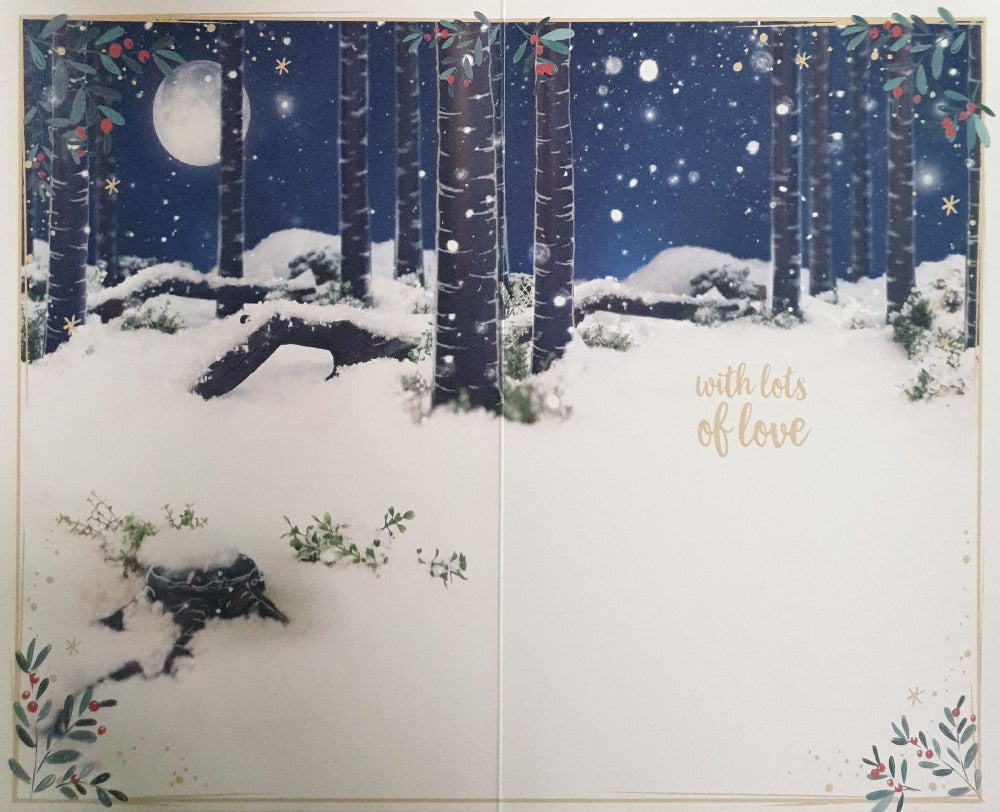 Special Granddaughter Christmas Card