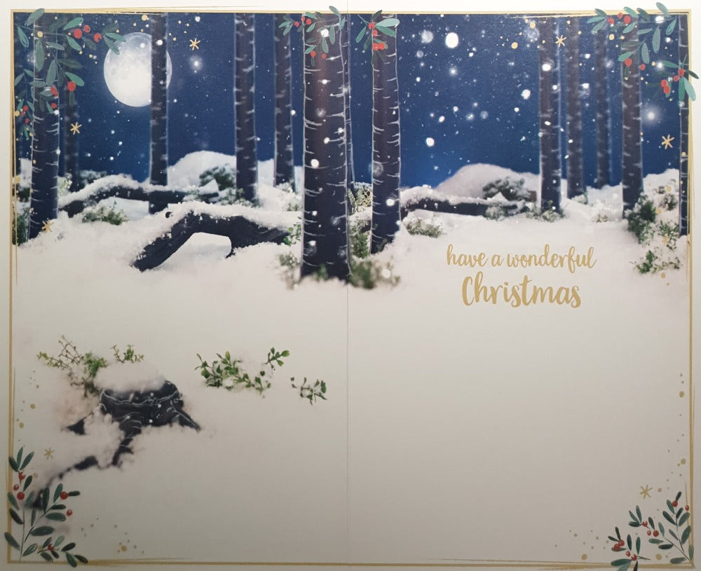 Especially For You Dad Christmas Card