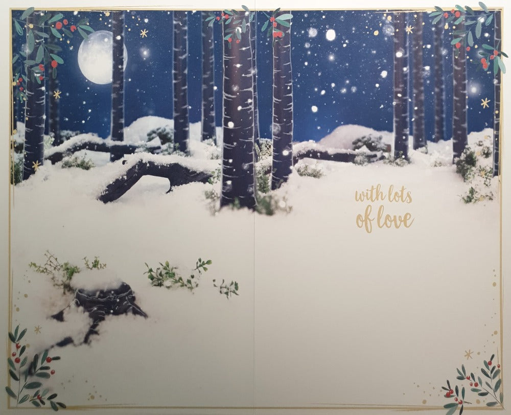 Niece Christmas Card