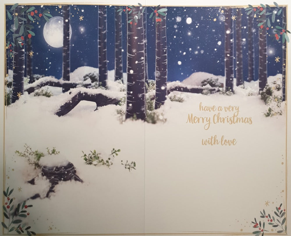 Someone Special Christmas Card