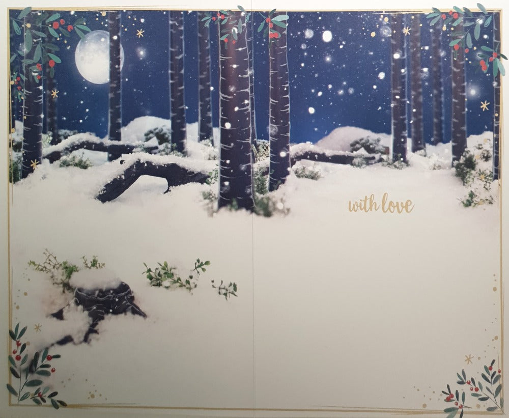 Special Nephew Christmas Card