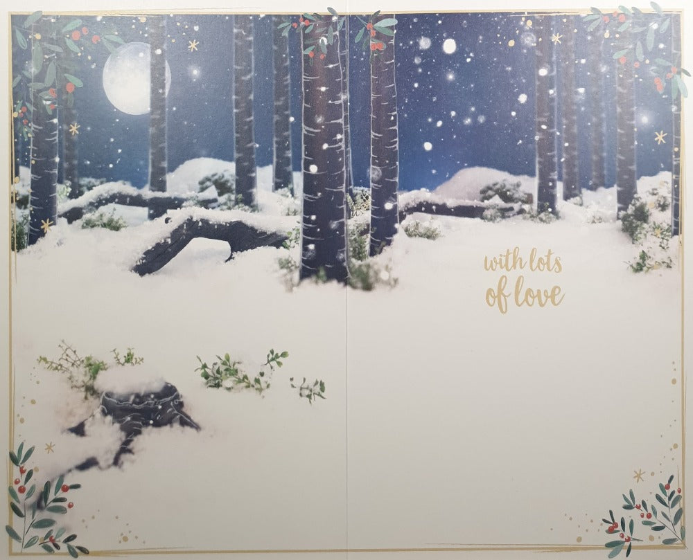 Special Grandson Christmas Card