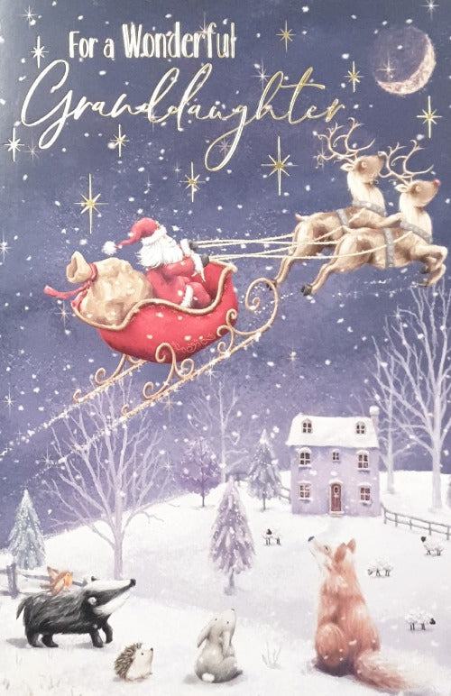 Granddaughter Christmas Card
