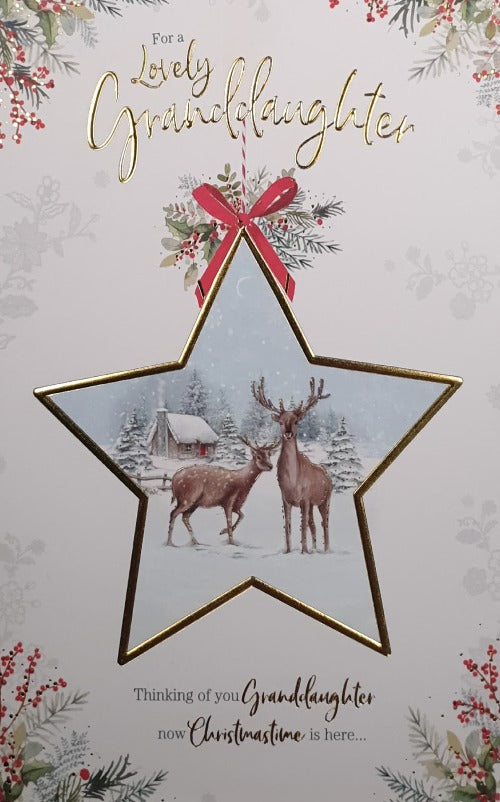 Granddaughter Christmas Card