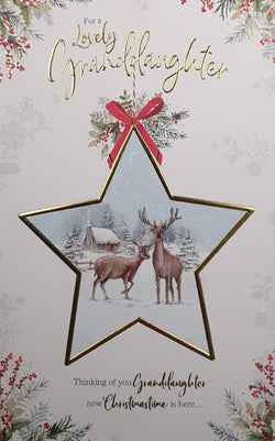 Granddaughter Christmas Card