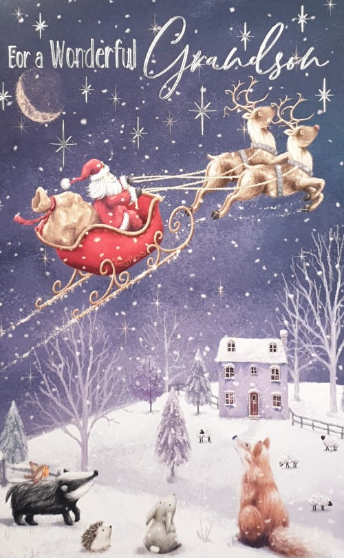 Grandson Christmas Card