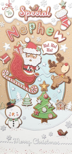 Special Nephew Christmas Card
