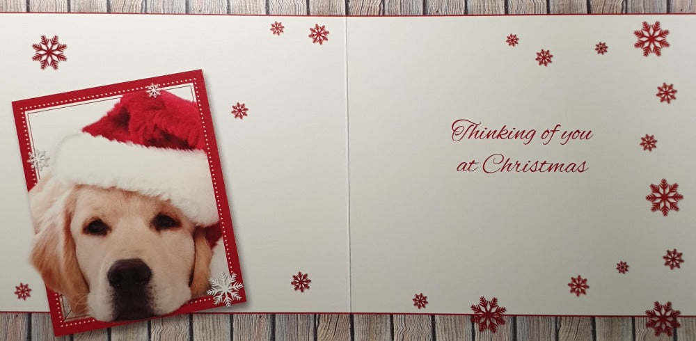 Thinking Of You Christmas Card 