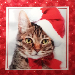 General Christmas Card