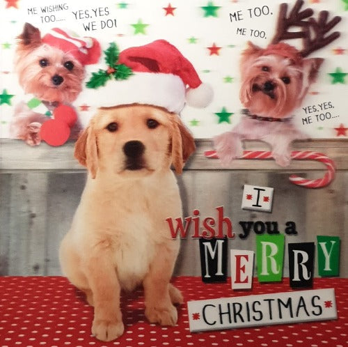 Pet Dog Christmas Card