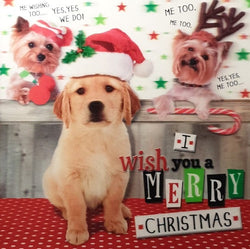 Pet Dog Christmas Card