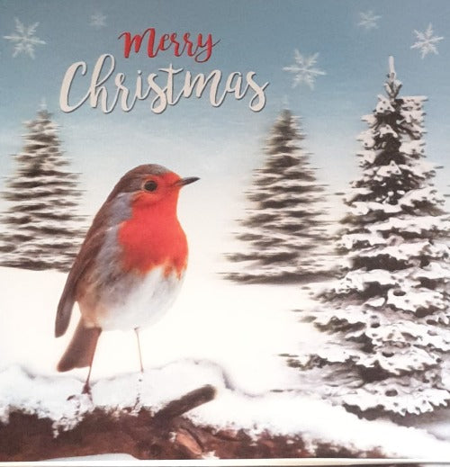 General Christmas Card