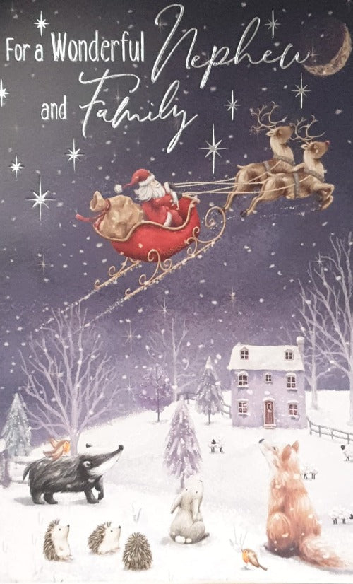 Nephew And Family Christmas Card