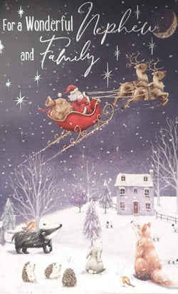 Nephew And Family Christmas Card