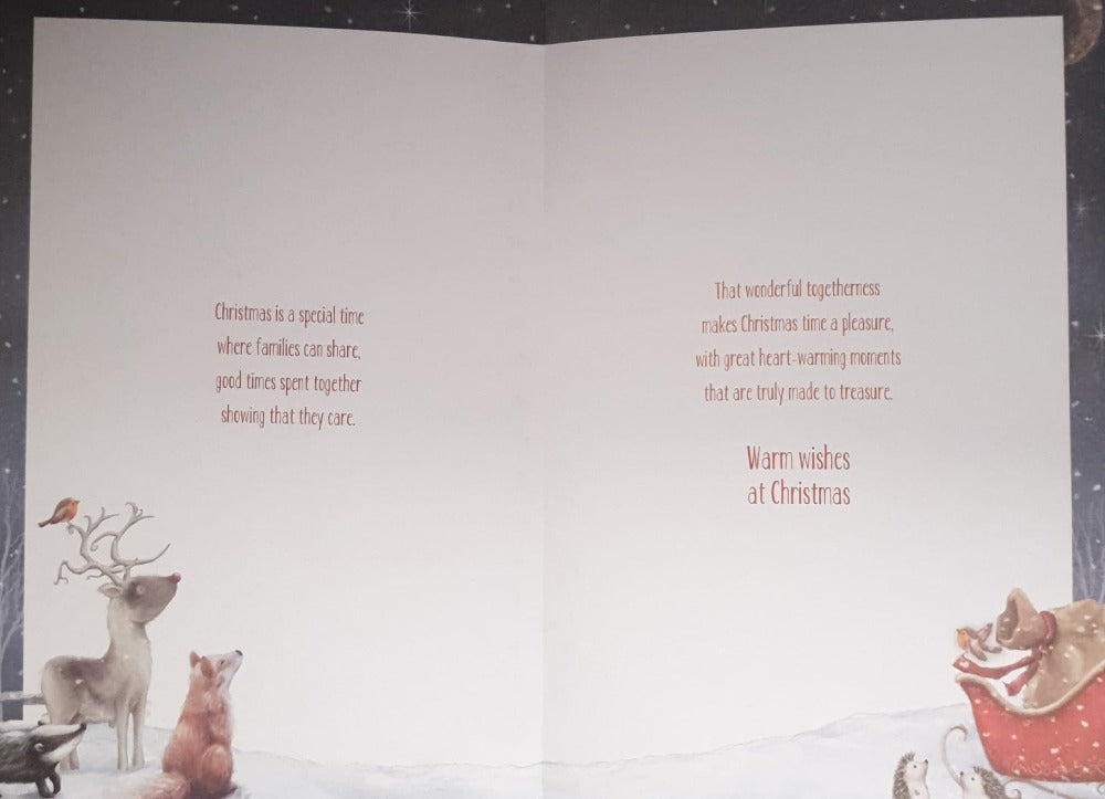 Nephew And Family Christmas Card