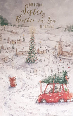 Special Sister And Brother In Law Christmas Card