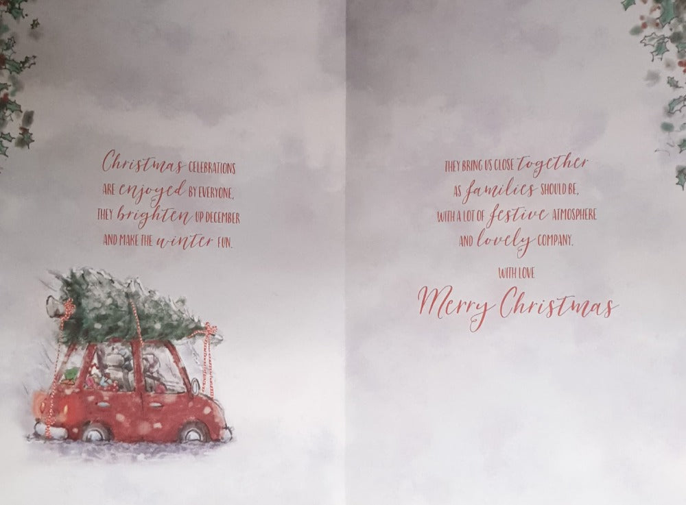 Special Sister And Brother In Law Christmas Card