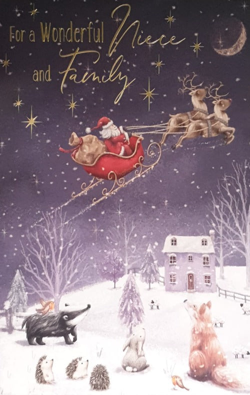 Niece And Family Christmas Card