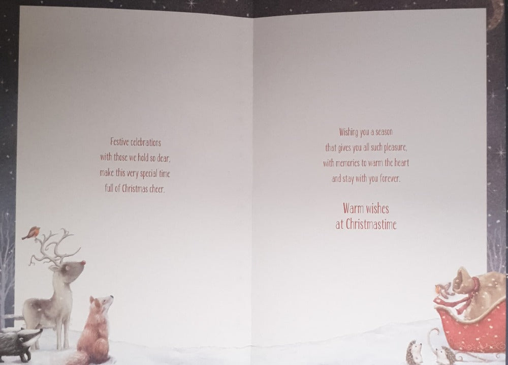 Niece And Family Christmas Card