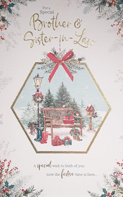 Special Brother And Sister In Law Christmas Card