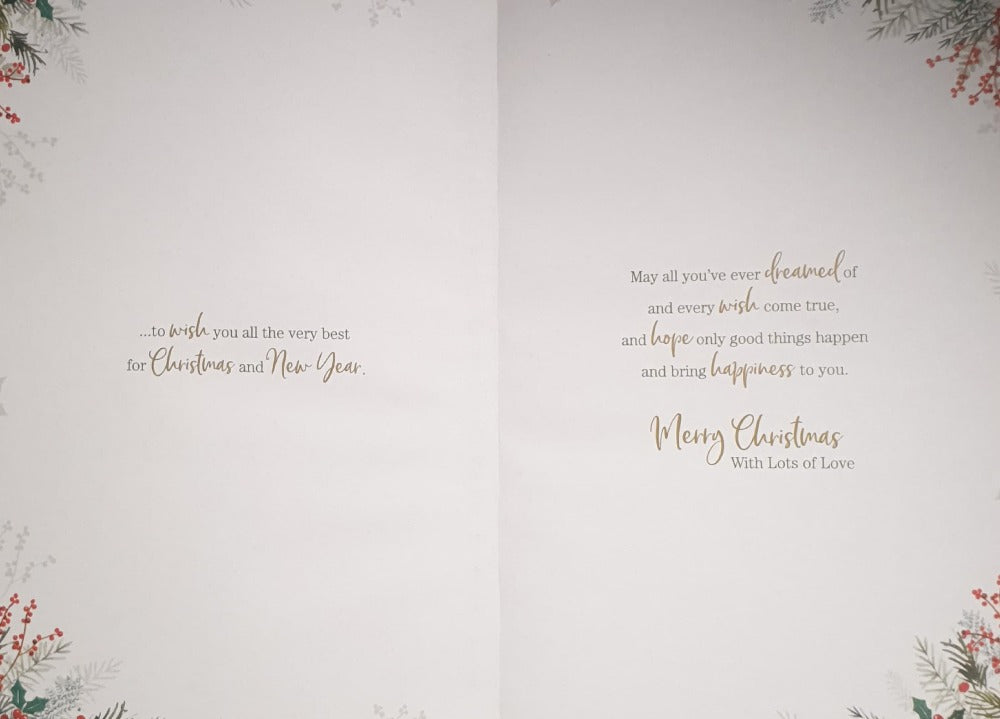 Special Brother And Sister In Law Christmas Card