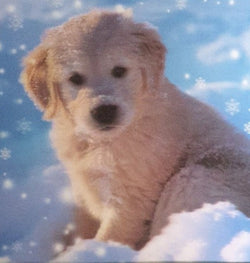 General Christmas Card