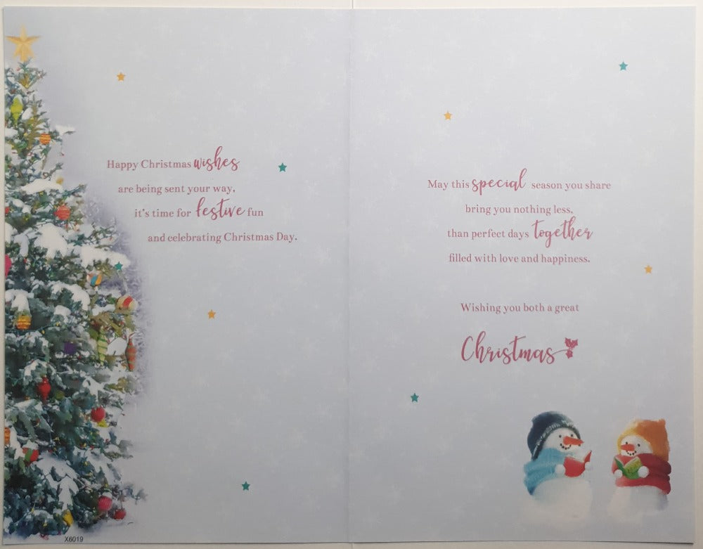 Special Sister And Brother In Law Christmas Card