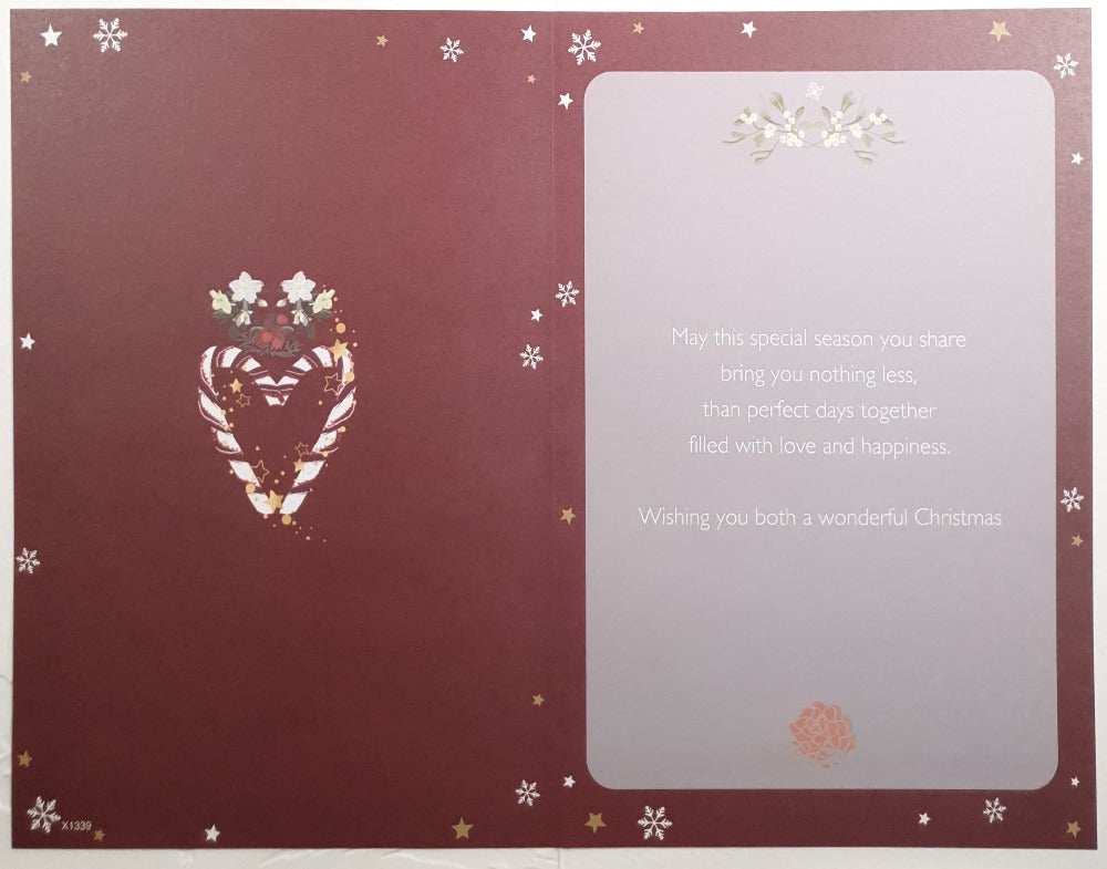 Brother And His Girlfriend Christmas Card