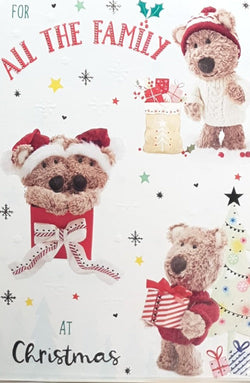 All The Family Christmas Card